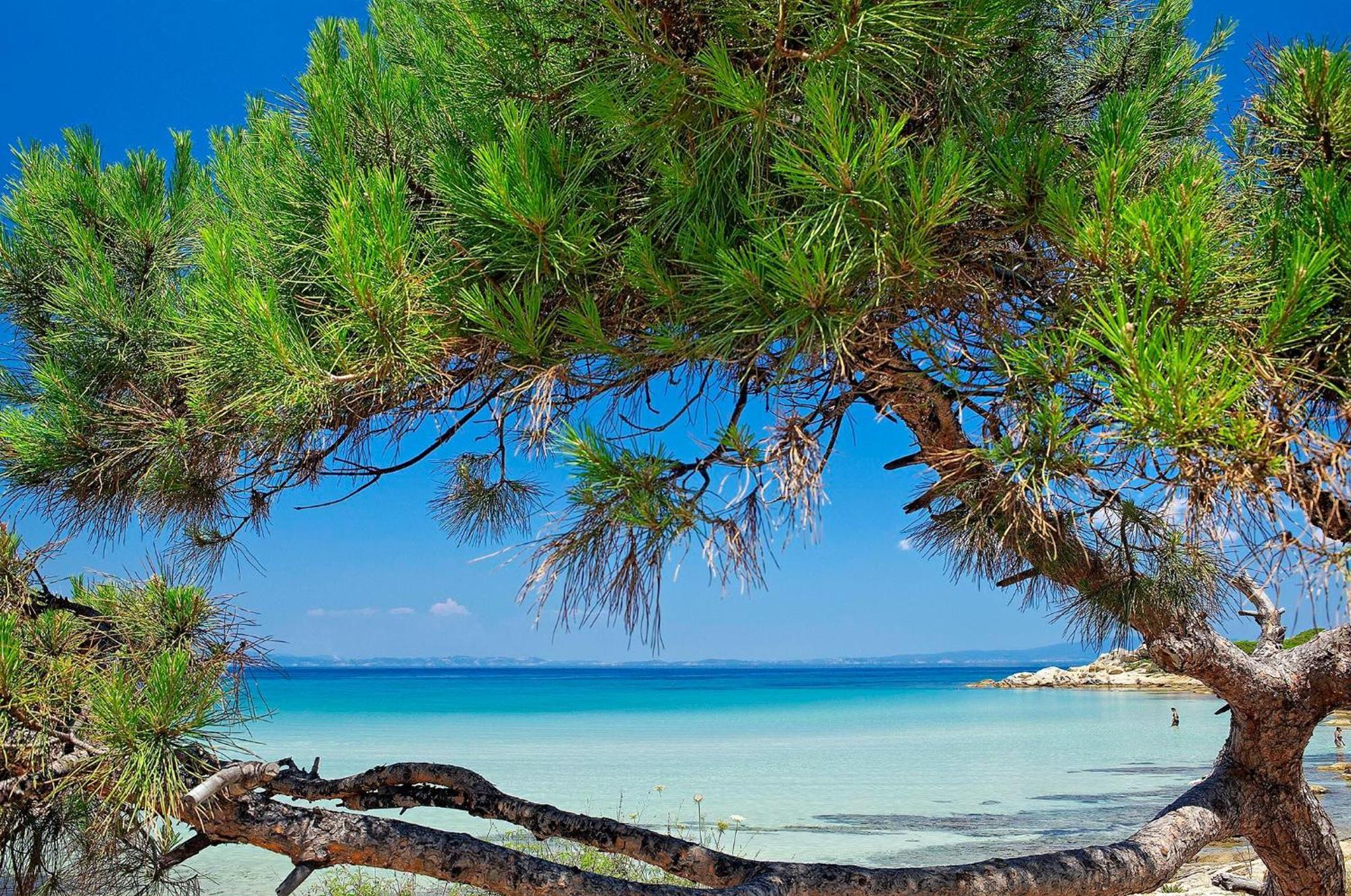 Ikos Olivia Hotel Gerakini Luaran gambar