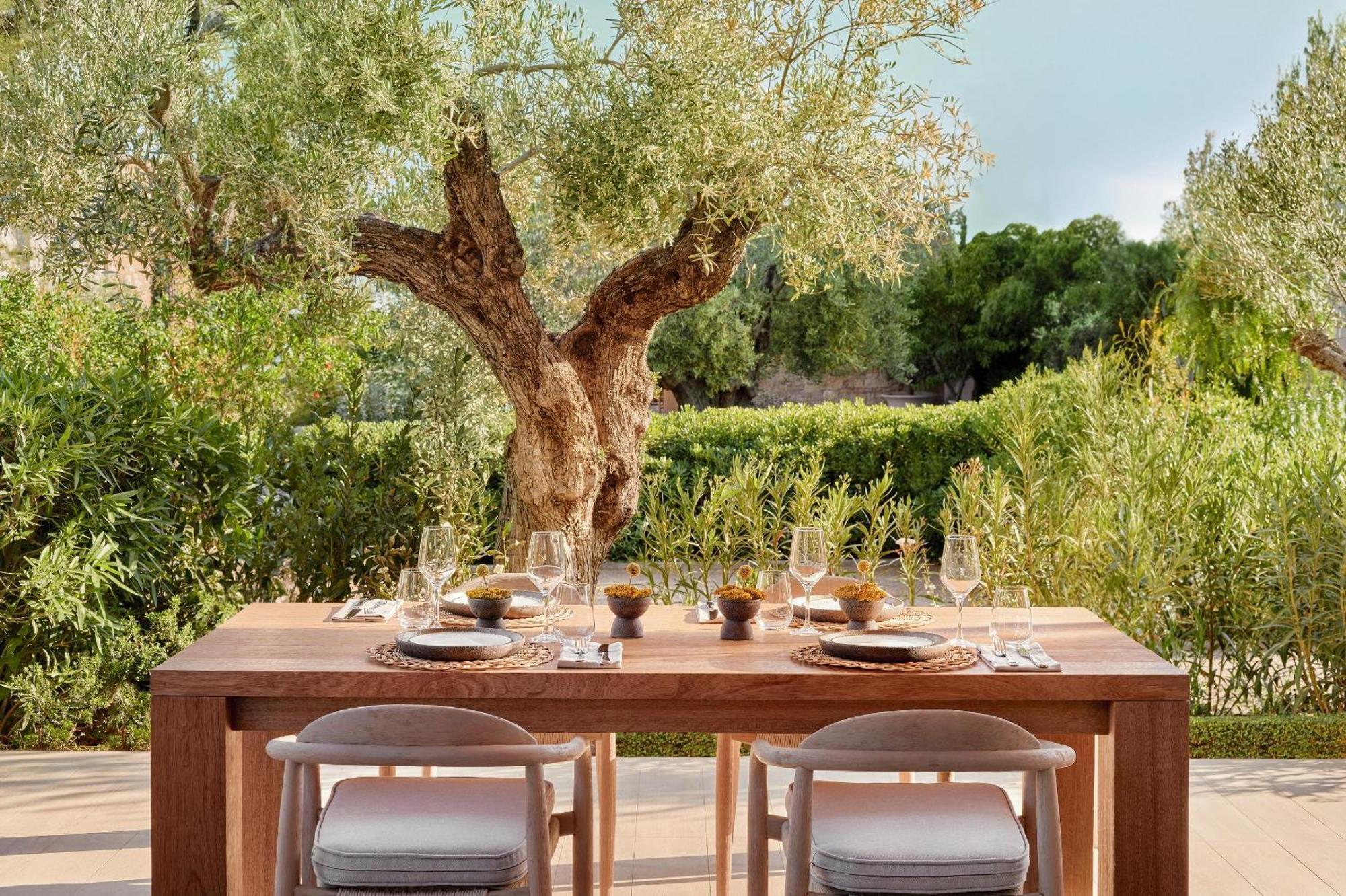 Ikos Olivia Hotel Gerakini Luaran gambar